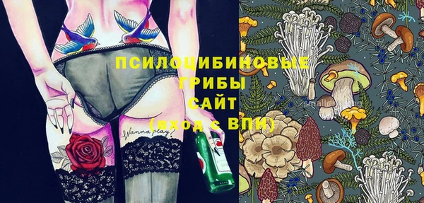 Альфа ПВП Магадан