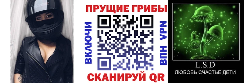 купить наркоту  Смоленск  Псилоцибиновые грибы мицелий 
